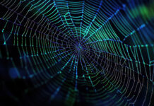 La democracia acorralada