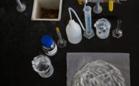 Scientific American: Bioplastics may be the solution