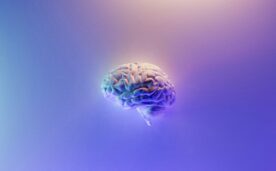 Las barreras para difundir anticuerpos en el cerebro contra trastornos neurológicos, más cerca de ser derribadas