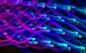 5. La ‘tercera vía’ de la algoritmia cuántica