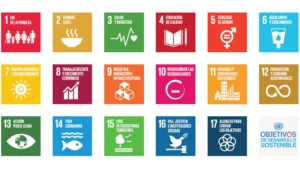 Los criterios ESG y los ODS base para un crecimiento tangible
