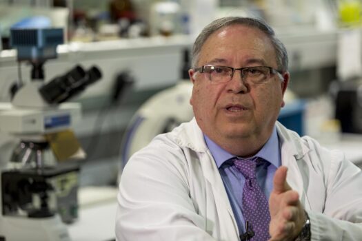 Cátedra Rafael del Pino de neurociencias